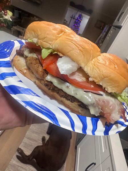 chicken sandwich